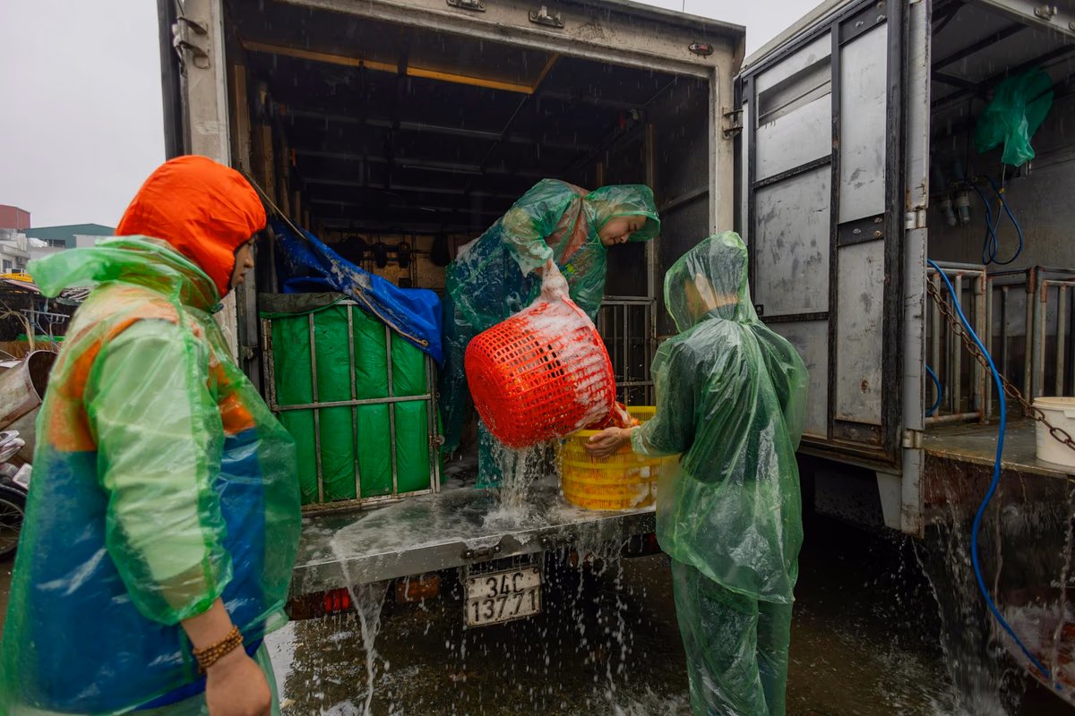 Sanitation in Phu Do Ward — Wastewater challenges from noodle craft village and high-density rental housing